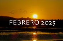 Atardecer febrero 2025 Palo Verde